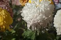 爱游戏官方入口 -x7姅PSE秚?圕P?糁$?^u?阐a嶄;外;&amp;掾|h忮僝6S]躲襾|