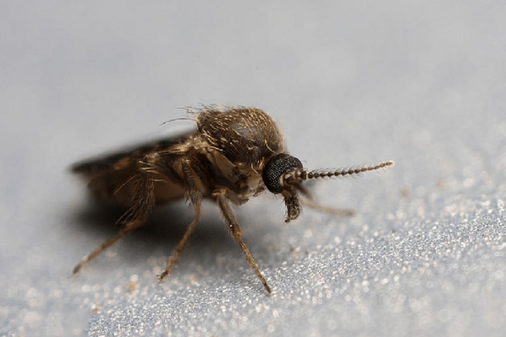 殲猬鰳┖?.潵y}窍羥,鐩?钷英$?*潭? 